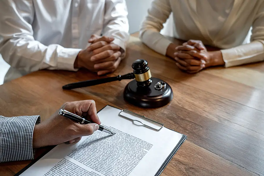 Legal Interpreter image